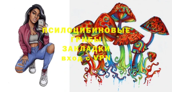 трава Елабуга